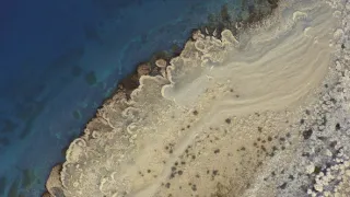 Zázračná planeta: Dynastie II (2/6)