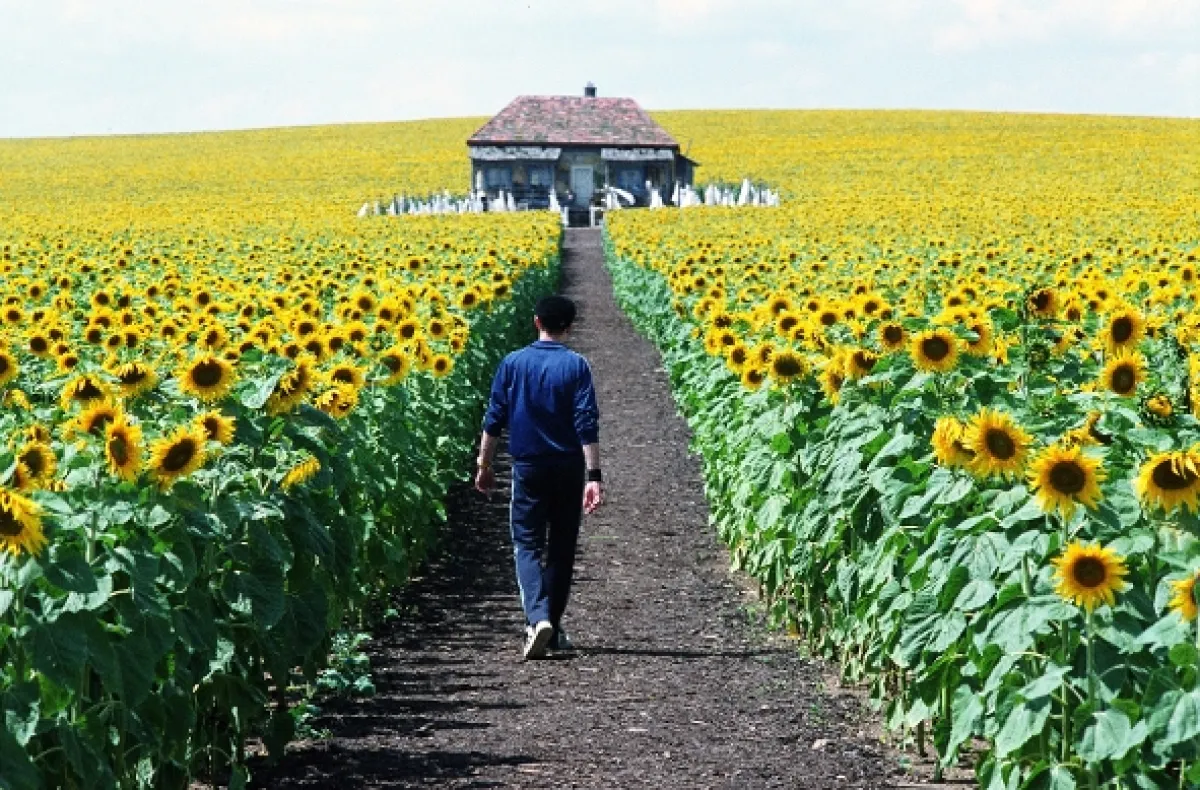 Naprosto osvětleno (Everything Is Illuminated), 2005 - fotogaléria