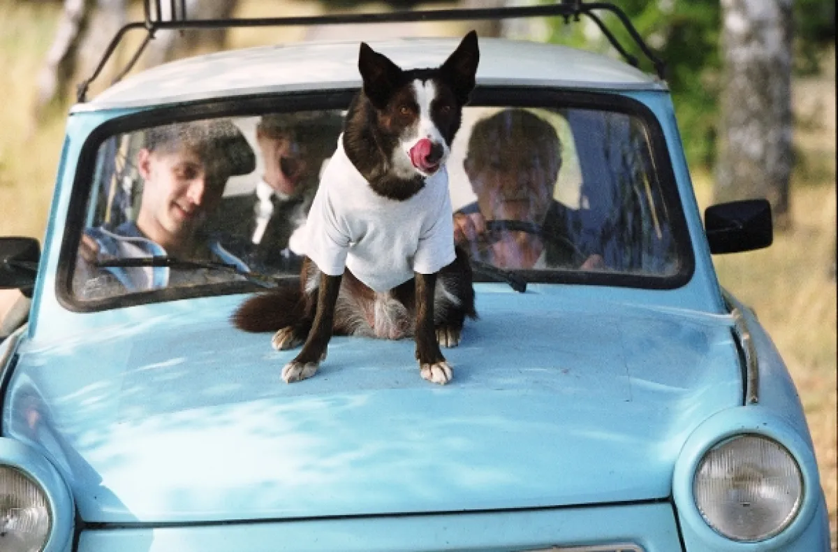 Naprosto osvětleno (Everything Is Illuminated), 2005 - fotogaléria