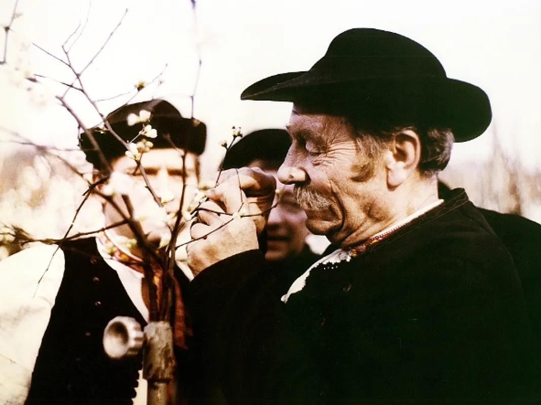 Červené víno, 1976 - fotogaléria