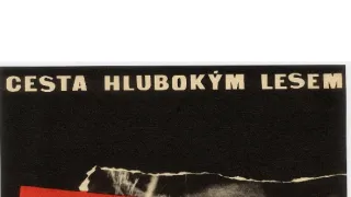Cesta hlubokým lesem