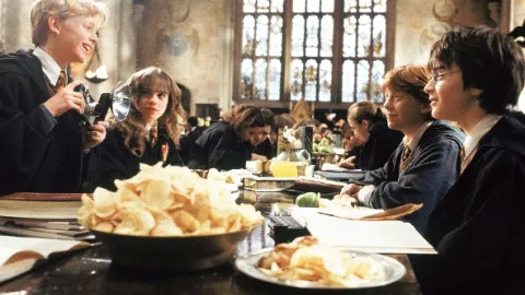 Harry Potter a Tajemná komnata
