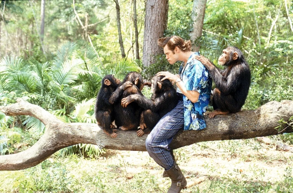 Ace Ventura 2: Volanie divočiny (Ace Ventura: When Nature Calls), 1995 - fotogaléria