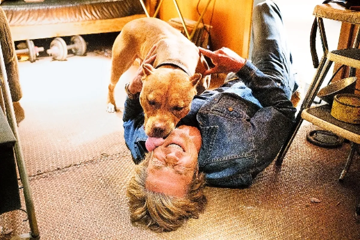 Tenkrát v Hollywoodu (Once Upon a Time in... Hollywood), 2019 - fotogaléria