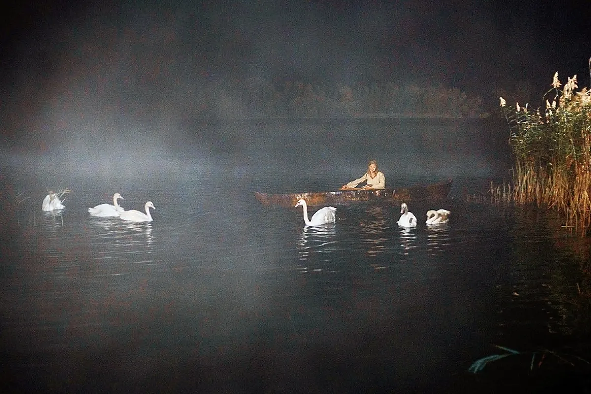 Šesť labutí (Die Sechs Schwäne), 2013 - fotogaléria