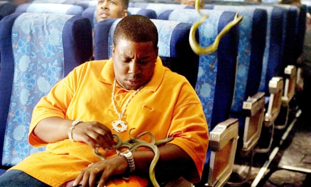 Hadi v letadle (Snakes on a Plane), 2006 - fotogaléria