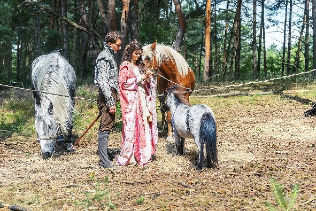 Princ Modřej a víla Lupinka (Prinz Himmelblau und Fee Lupine), 2016 - fotogaléria