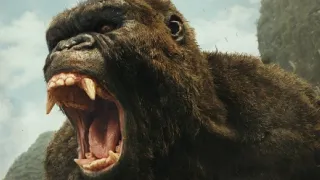 Kong: Koponya-sziget