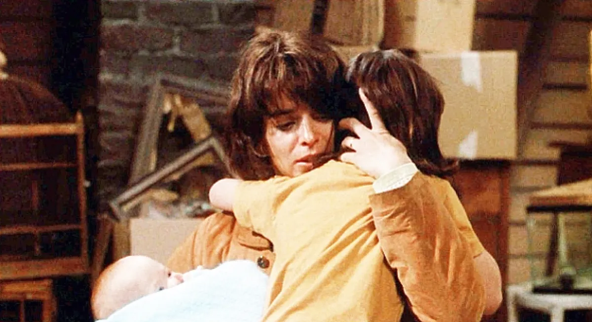 Ruka na kolébce (The Hand that Rocks the Cradle), 1992 - fotogaléria