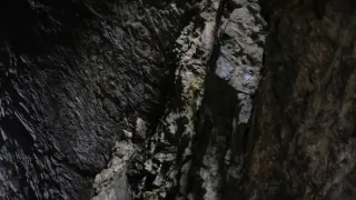 Objevování chutí s Gordonem Ramsaym