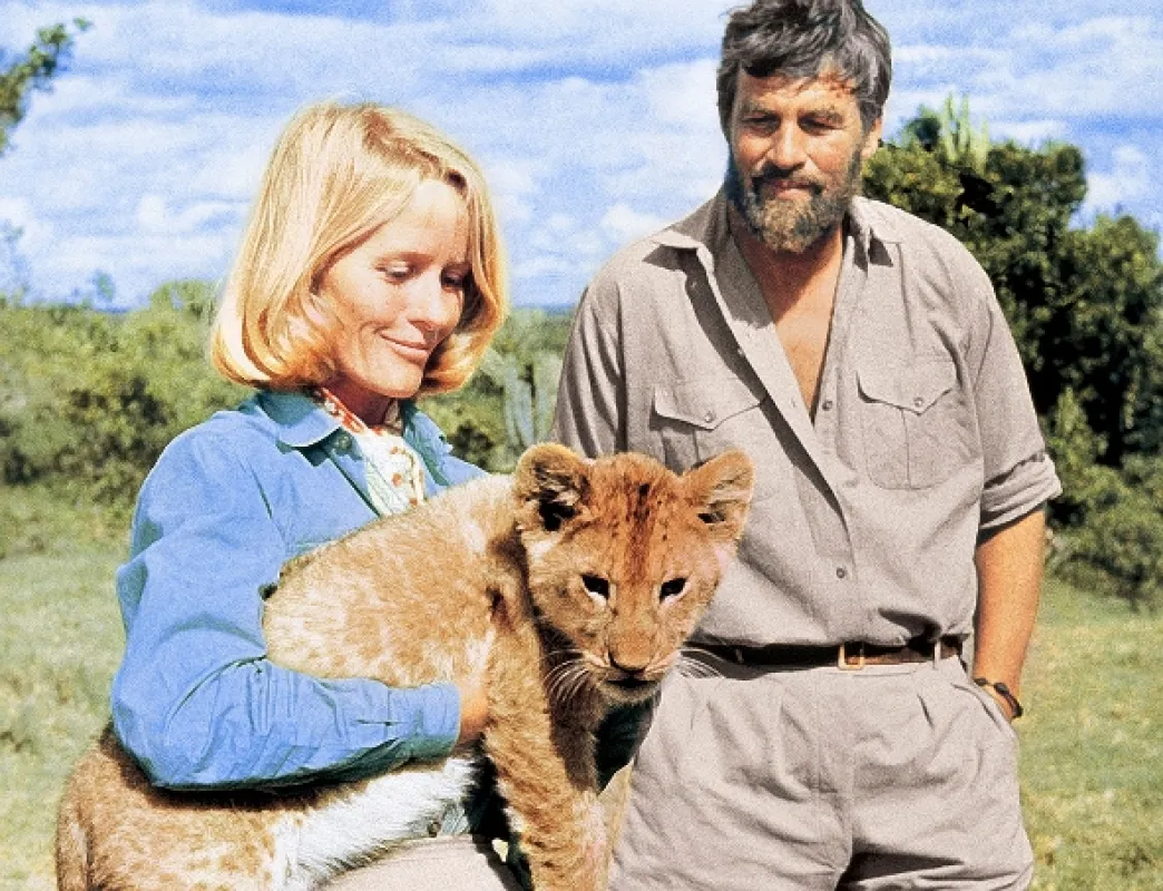 Volání divočiny (Born Free), 1966 - fotogaléria