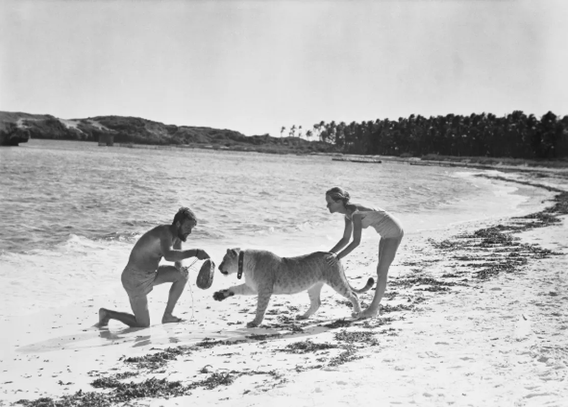 Volání divočiny (Born Free), 1966 - fotogaléria