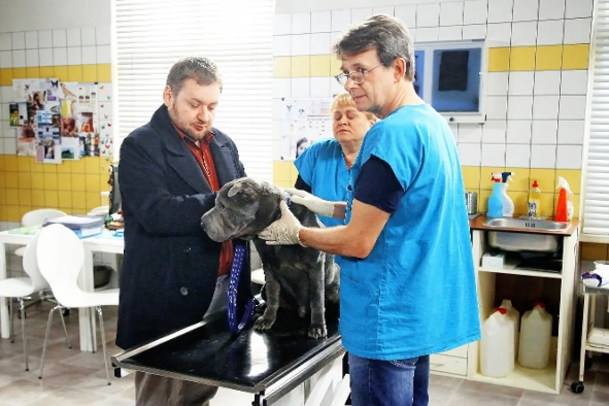 Krejzovi, 2019 - fotogaléria