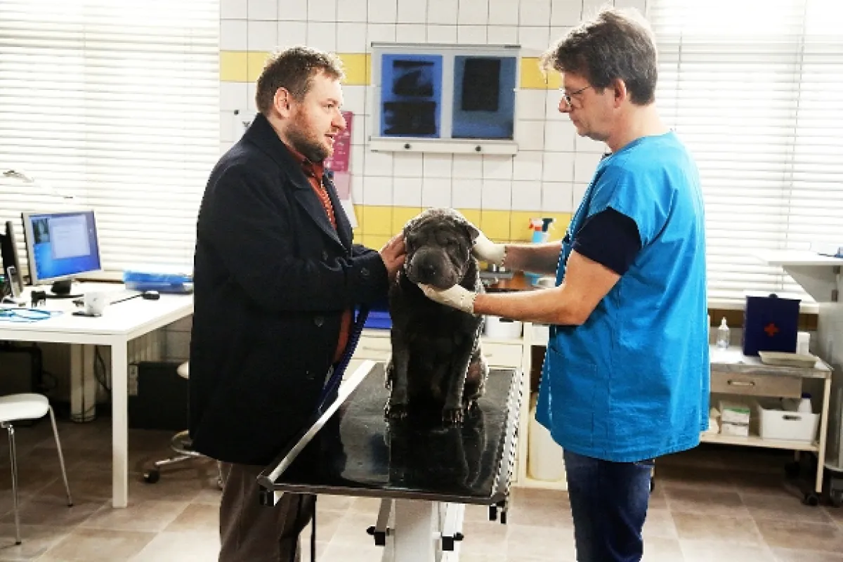 Krejzovi, 2019 - fotogaléria