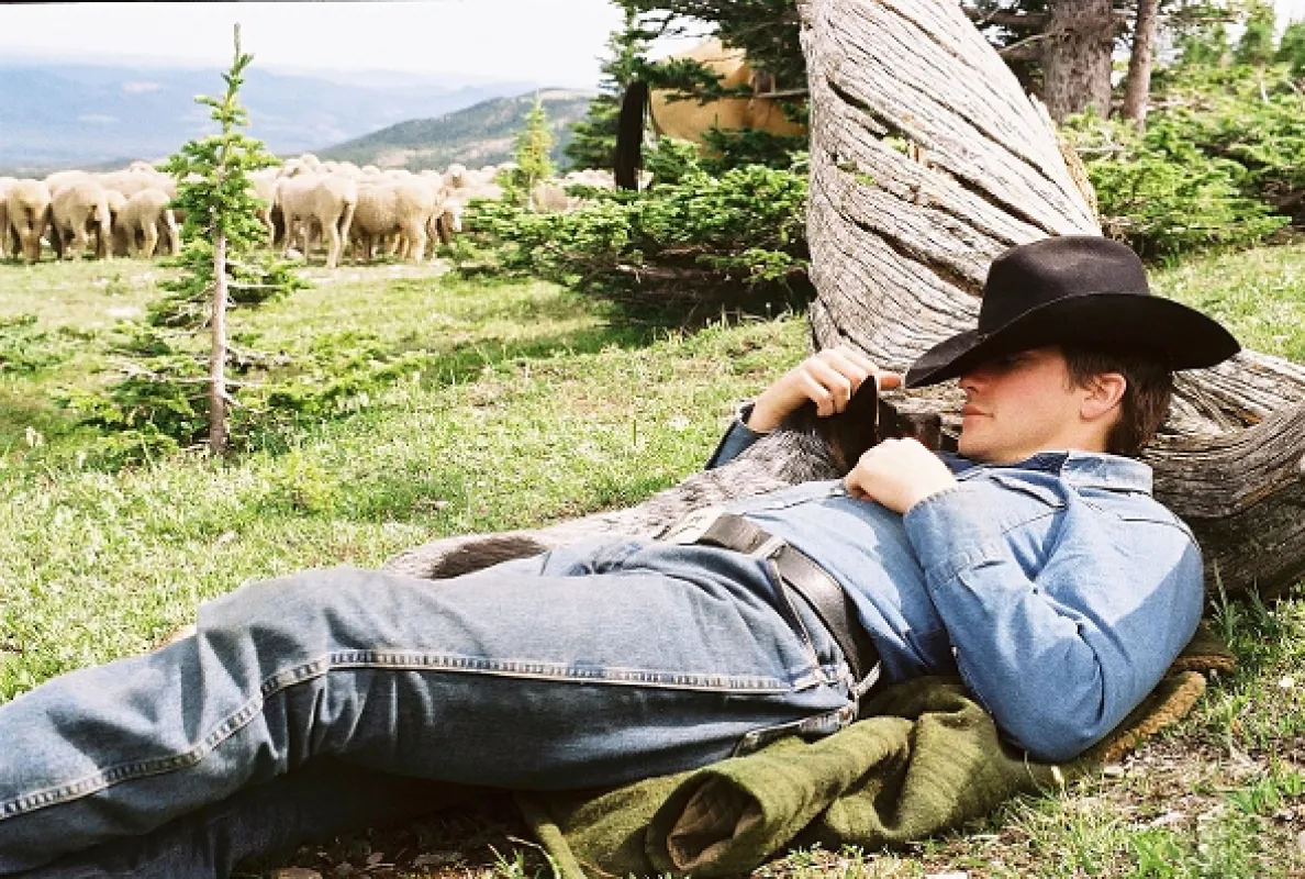 Zkrocená hora (Brokeback Mountain), 2005 - fotogaléria