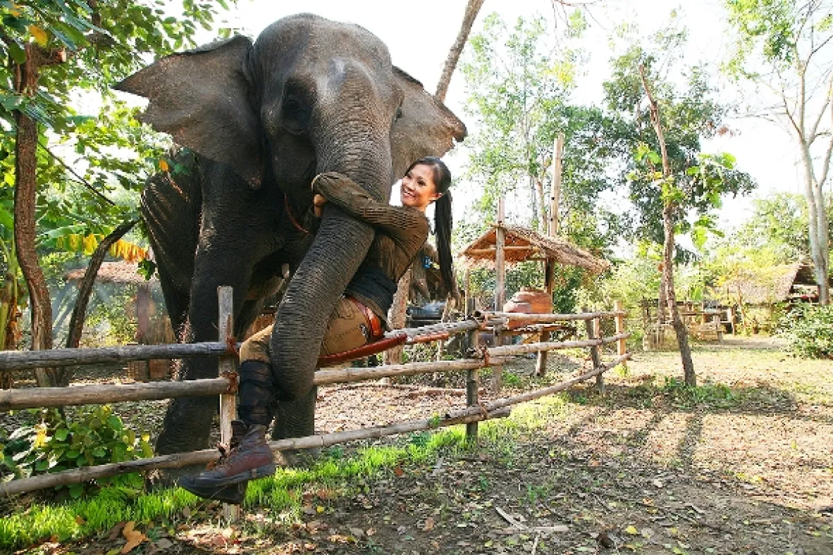 Princ a ja: Rok po svadbe (The Prince & Me 4: The Elephant Adventure), 2010 - fotogaléria