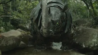 Transformers: A fenevadak kora