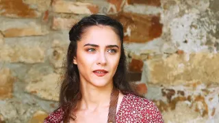 Slunečná (143)