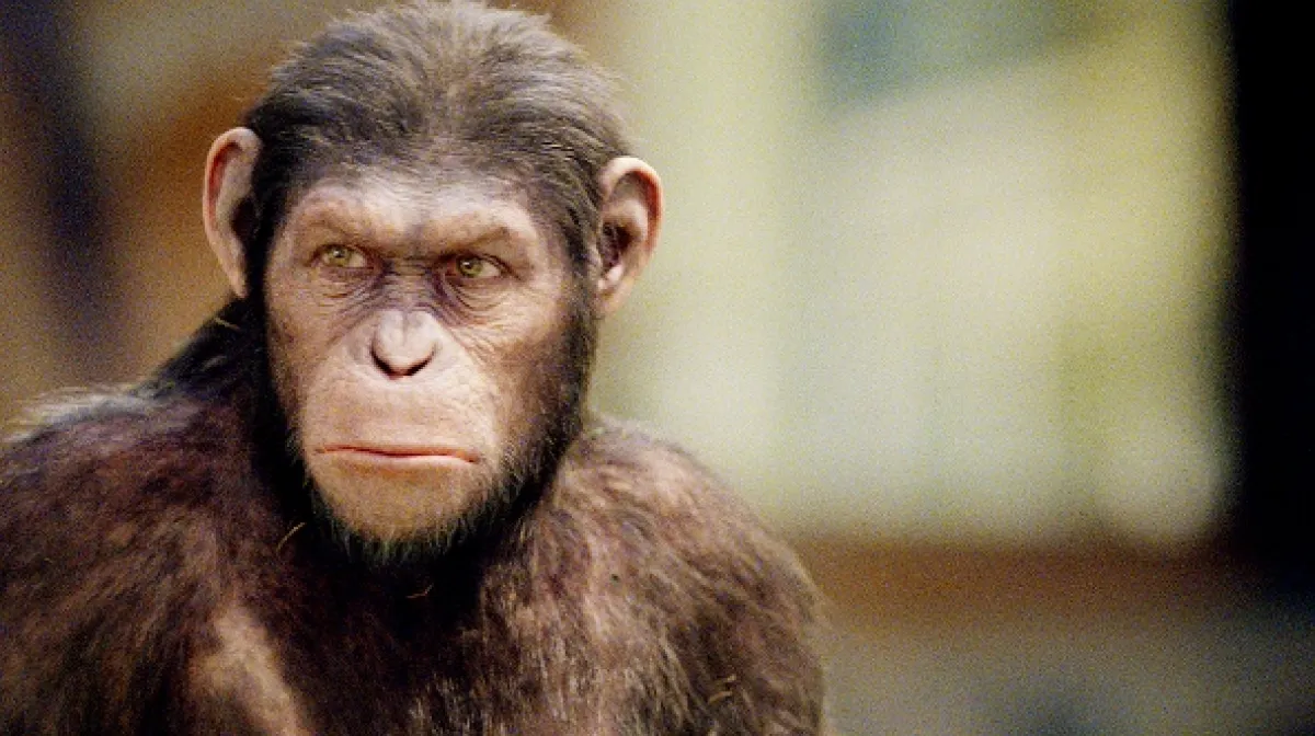 Zrodenie Planéty opíc (Rise of the Planet of the Apes), 2011 - fotogaléria