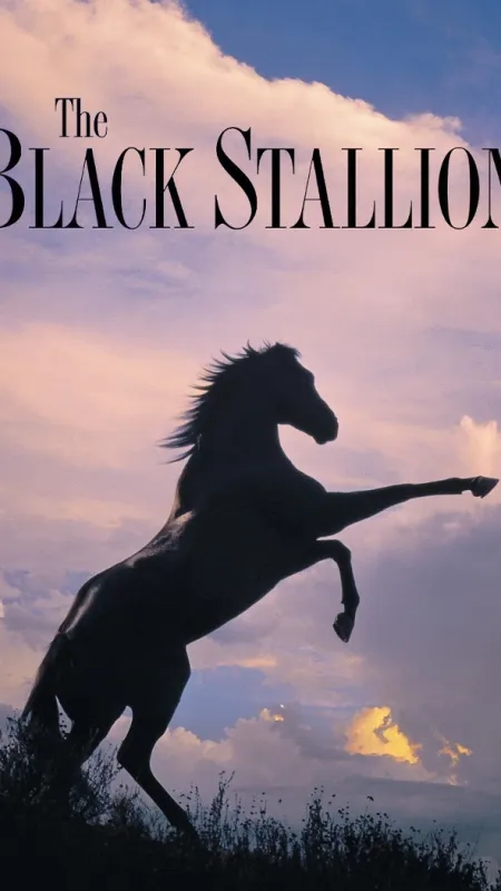 Černý hřebec (The Black Stallion), 1979 - fotogaléria
