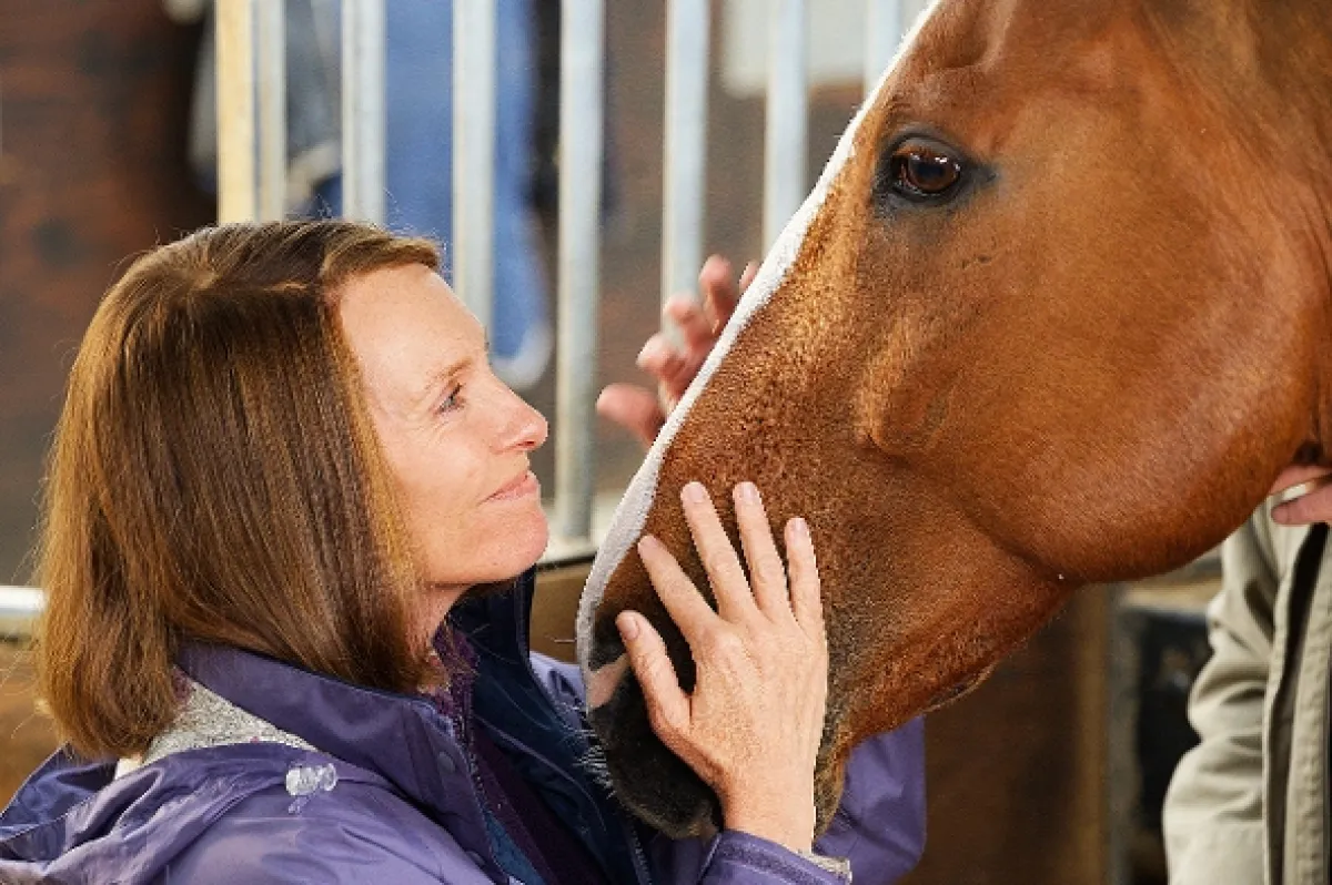 Jdi za svým koněm (Dream Horse), 2020 - fotogaléria