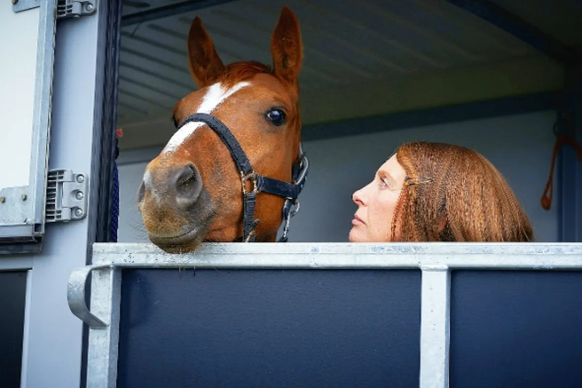 Jdi za svým koněm (Dream Horse), 2020 - fotogaléria