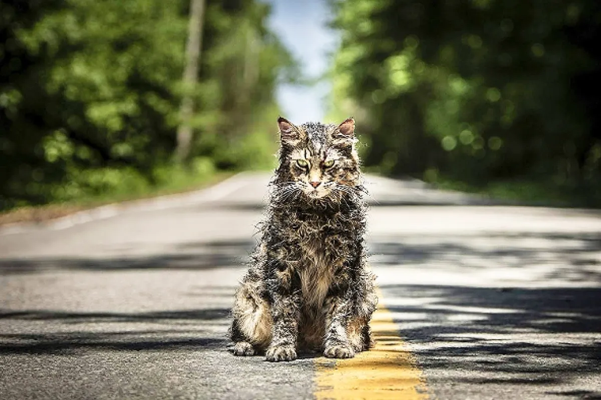 Cyntoryn zvieratiek (Pet Sematary), 2019 - fotogaléria