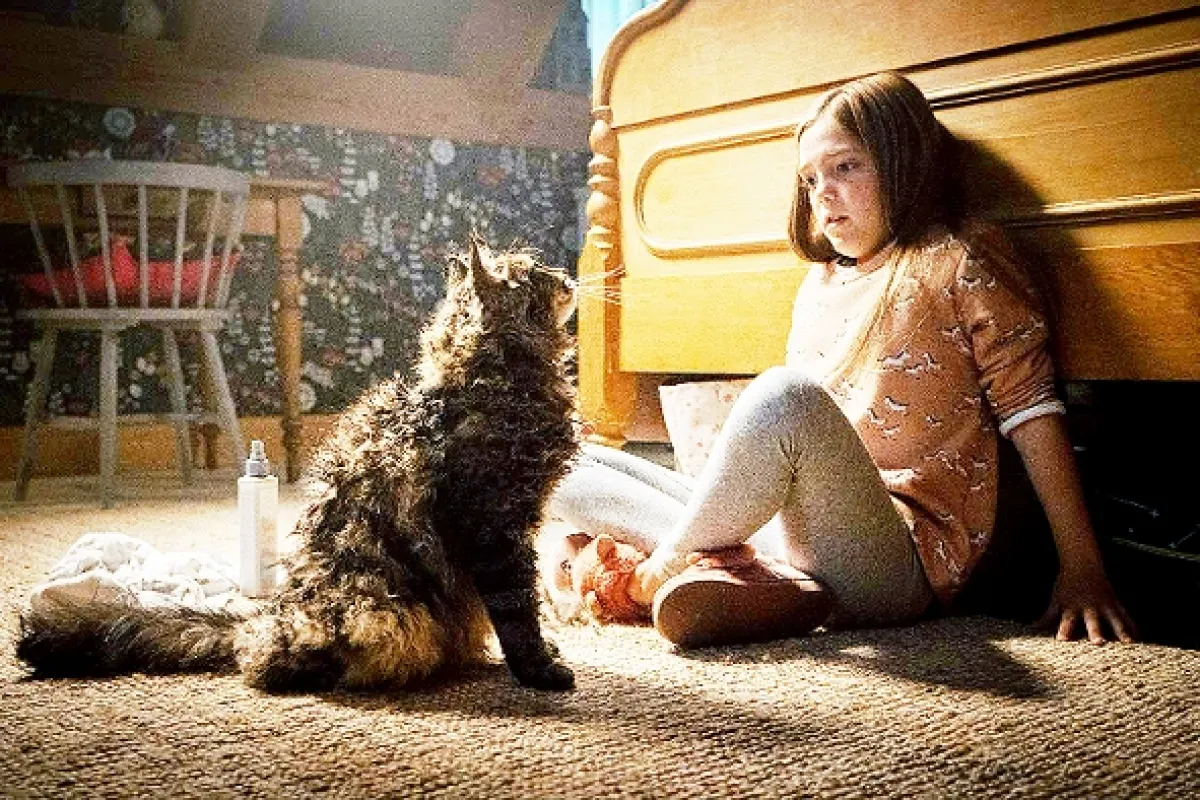 Cyntoryn zvieratiek (Pet Sematary), 2019 - fotogaléria