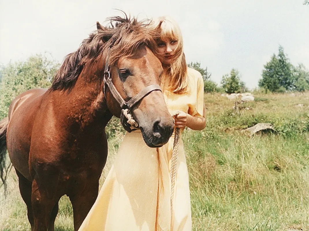 Divoký koník Ryn, 1981 - fotogaléria