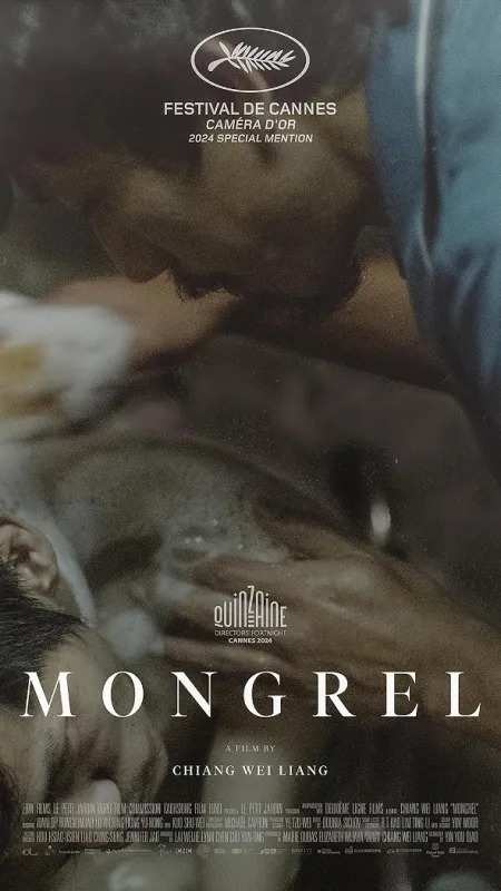 Pečovatel (Mongrel), 2024 - fotogaléria