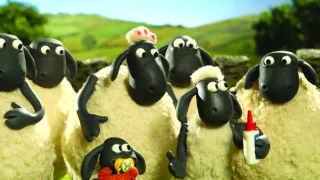 Ovečka Shaun VI