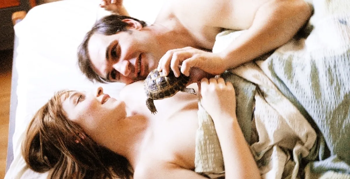 Nestyda, 2008 - fotogaléria
