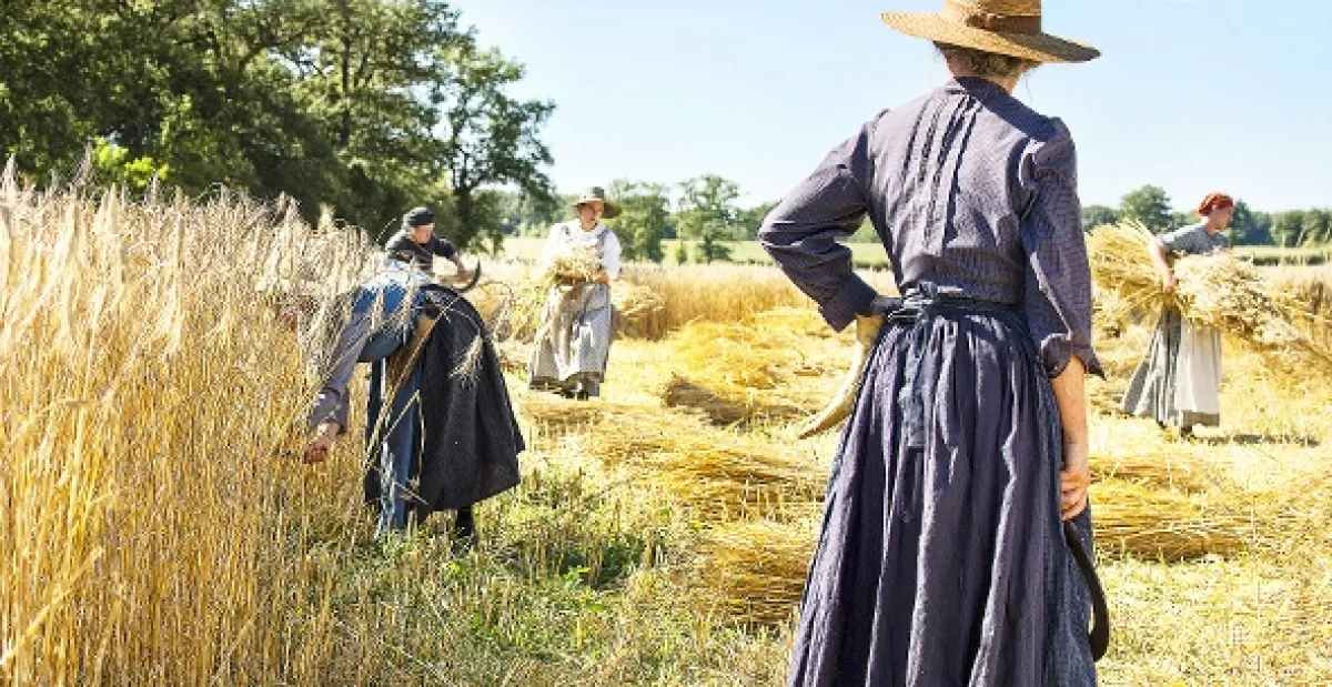 Strážkyne (Les Gardiennes), 2017 - fotogaléria