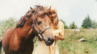 Divoký koník Ryn