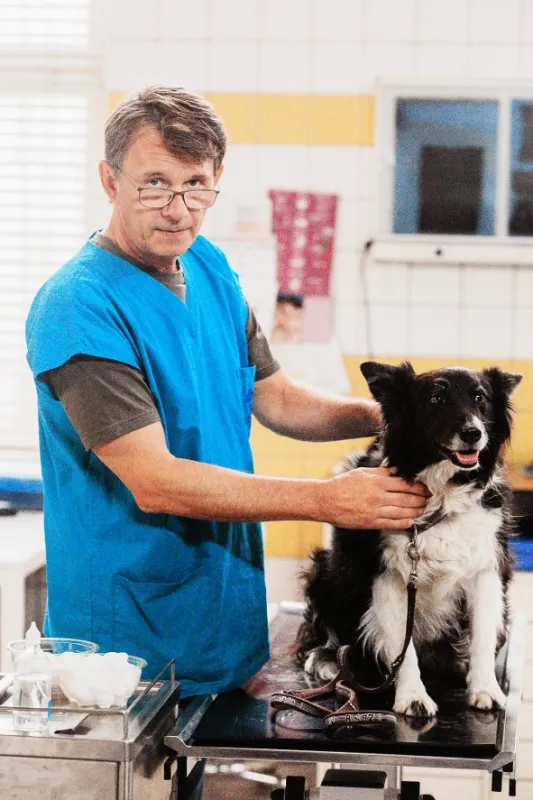 Krejzovi, 2018 - fotogaléria