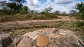 Zrozena pro Afriku