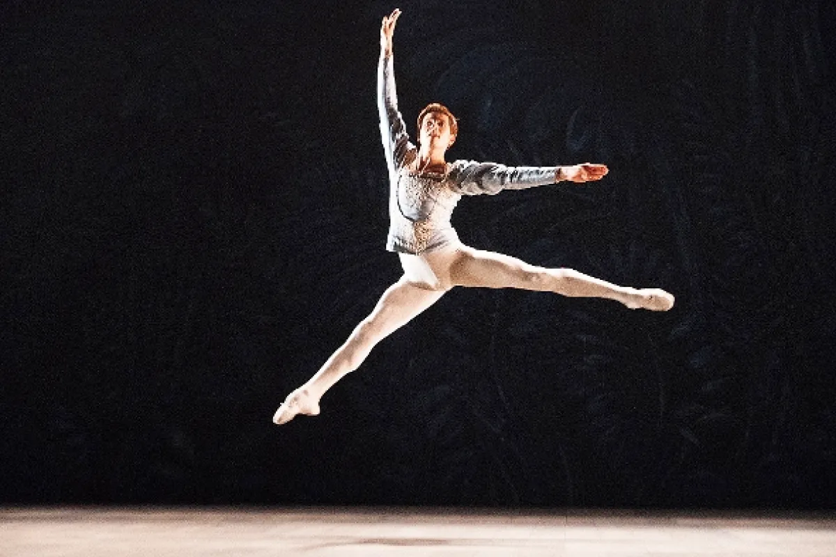 Bílá vrána (The White Crow), 2018 - fotogaléria
