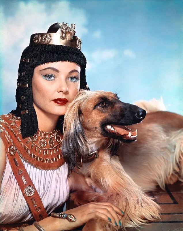 Egypťan Sinuhe (The Egyptian), 1954 - fotogaléria