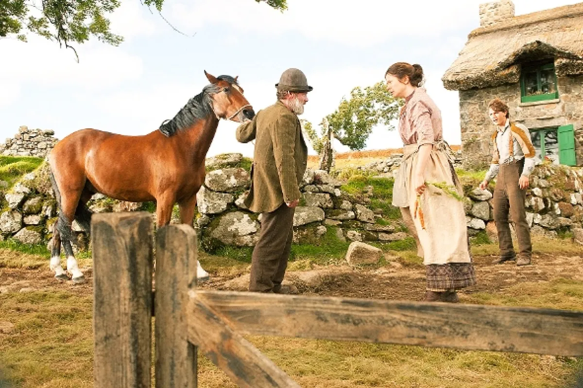 Vojnový kôň (War Horse), 2011 - fotogaléria