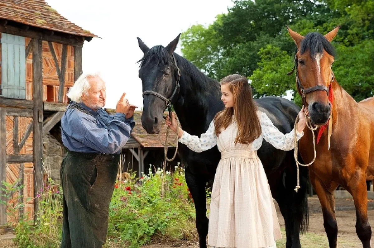 Vojnový kôň (War Horse), 2011 - fotogaléria