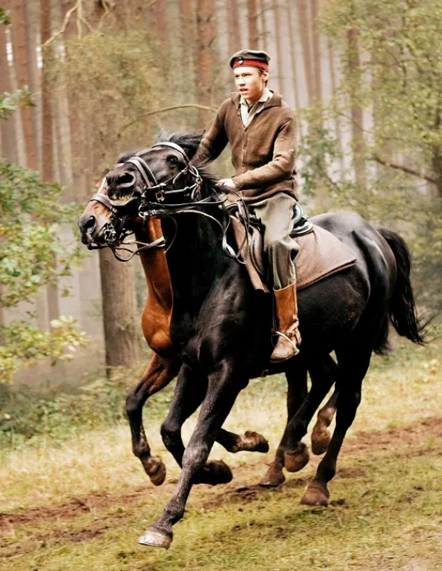 Vojnový kôň (War Horse), 2011 - fotogaléria
