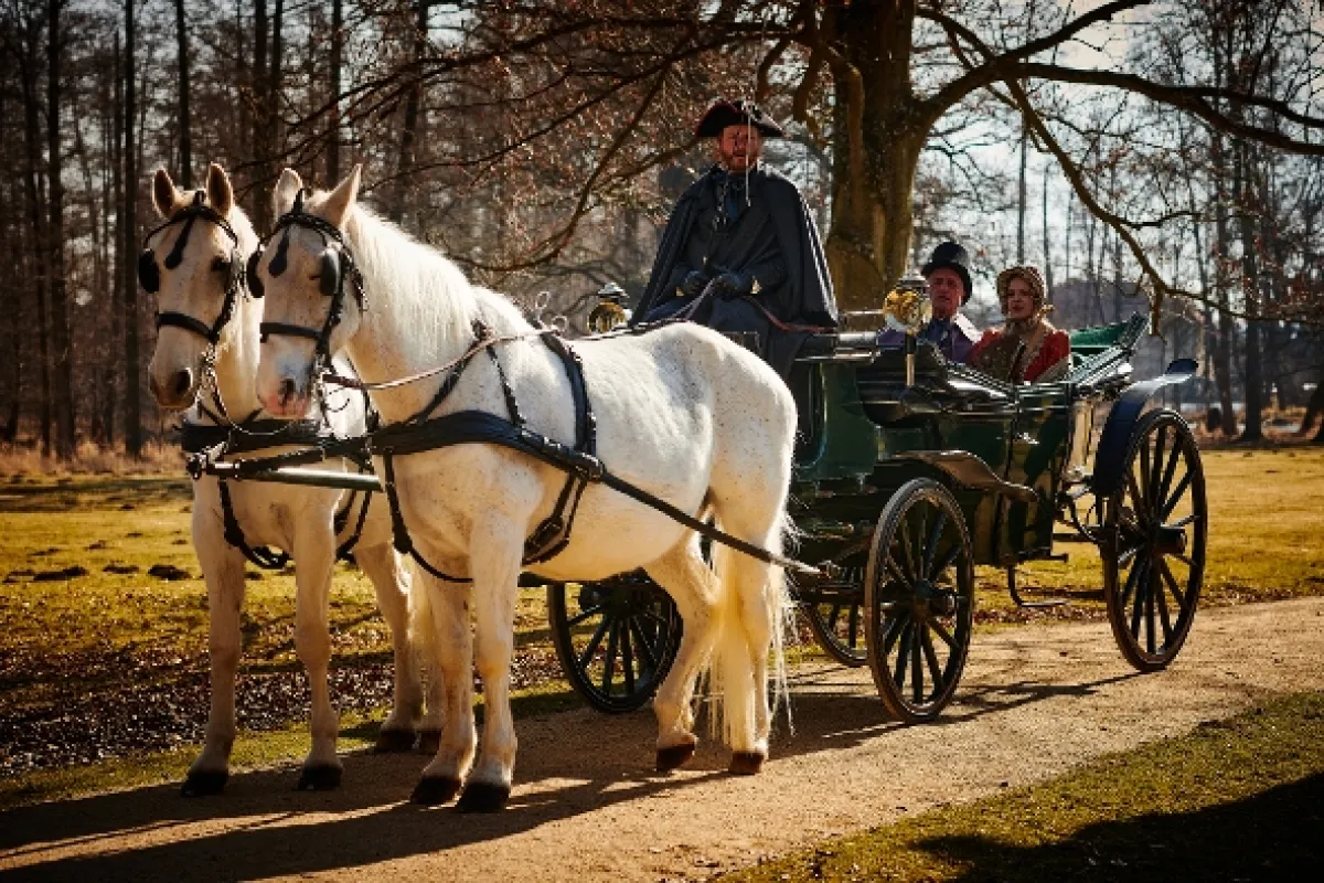 Miesto zločinu České Budějovice, 2023 - fotogaléria