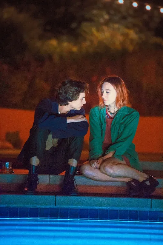 Lady Bird, 2017 - fotogaléria