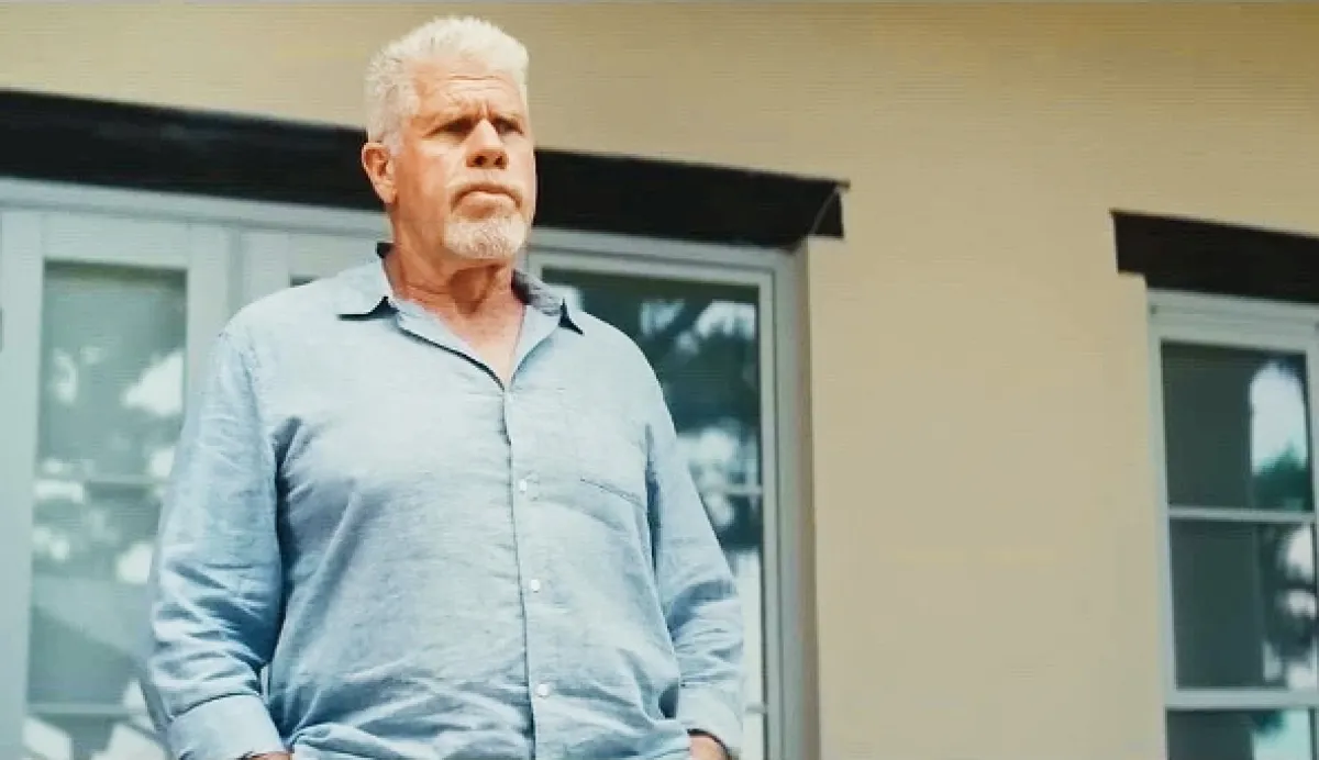 Joe Baby, 2024 - fotogaléria