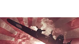 Bombardování Darwinu: Nepříjemná pravda