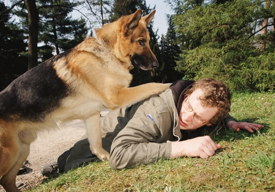 Komisař Rex (Kommissar Rex), 2003 - fotogaléria
