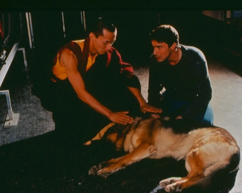 Komisař Rex (Kommissar Rex), 2000 - fotogaléria