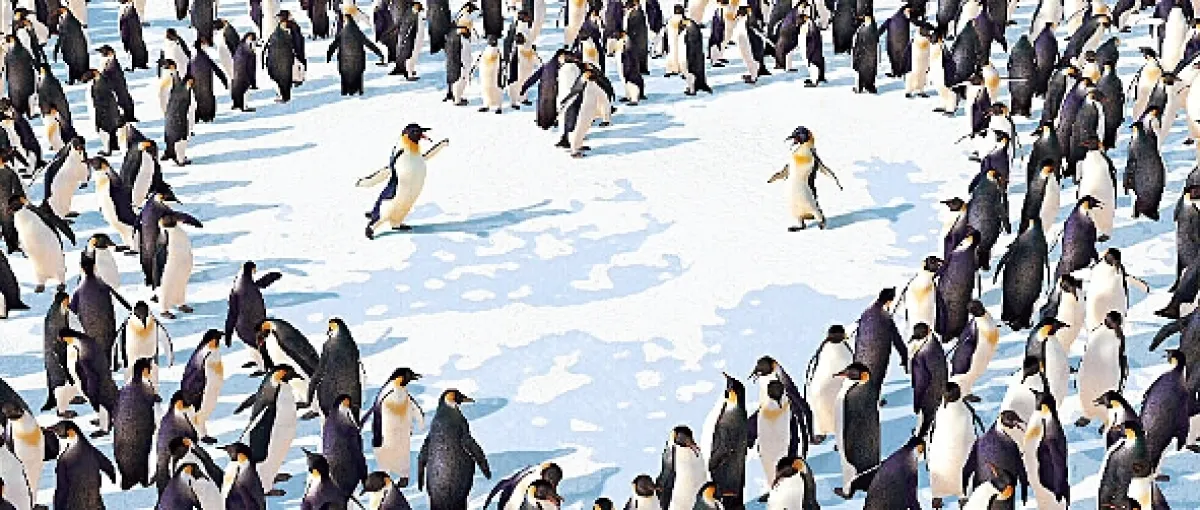Happy Feet, 2006 - fotogaléria