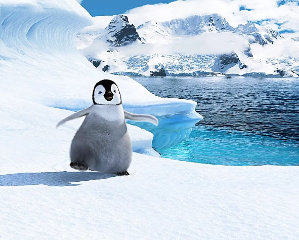 Happy Feet, 2006 - fotogaléria