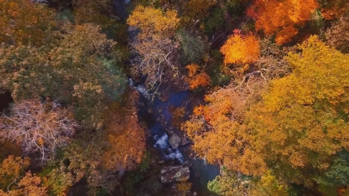 České počasie - fotogaléria